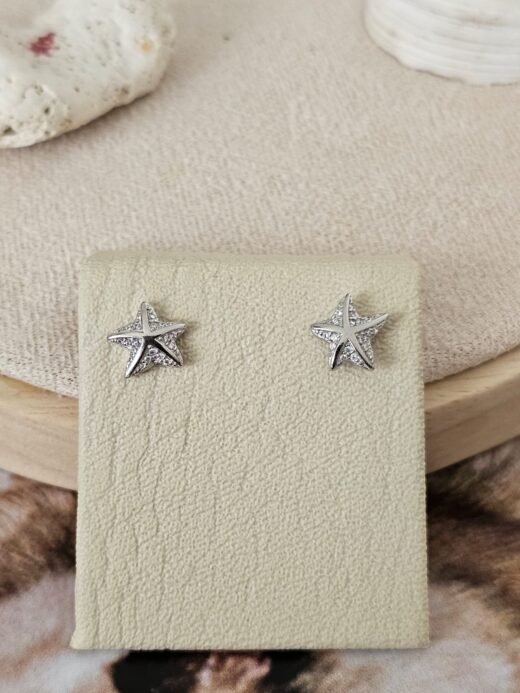 TOPO ESTRELLA DE MAR
